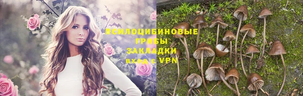 амф Волосово