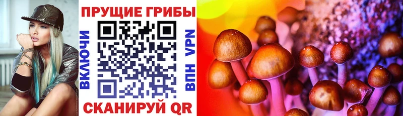 Купить закладки  Беломорск  Галлюциногенные грибы Cubensis 